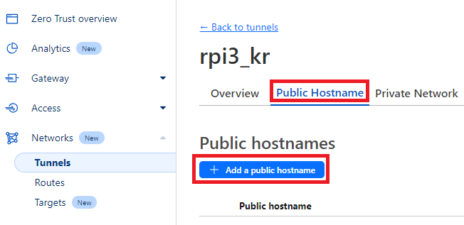 public hostname